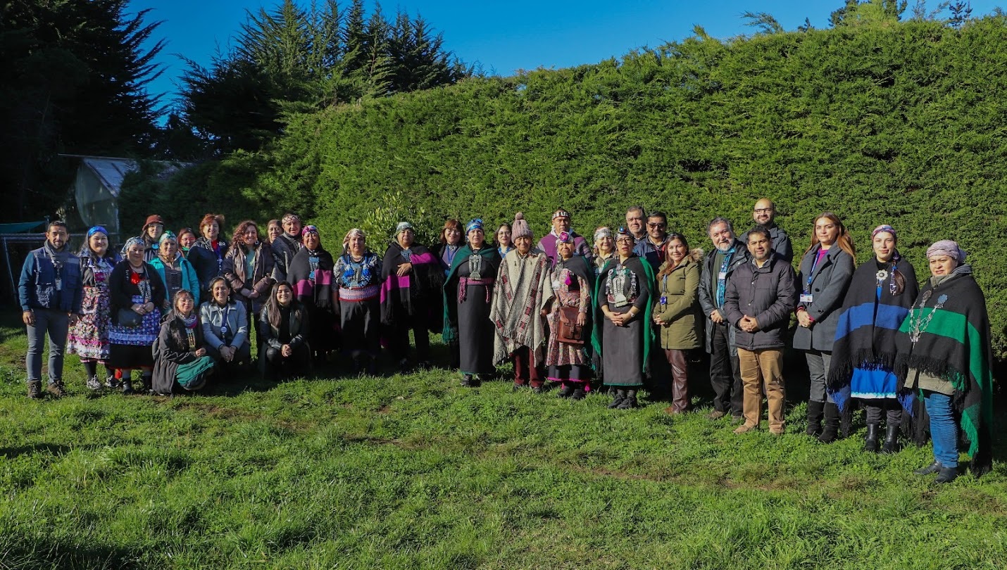 grupo de personas e integrantes del pueblo mapuche con un fondo verde