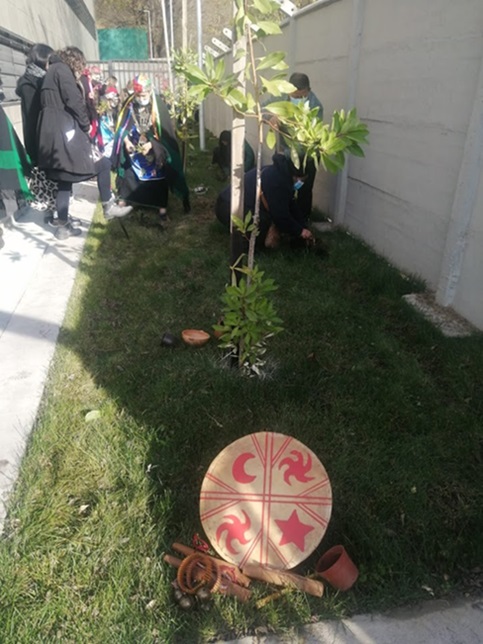 arbol canelo y cultrun