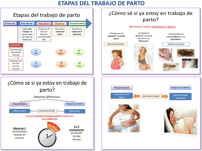Etapas trabajo de parto